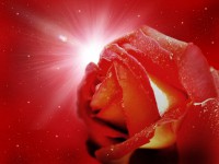 /album/photo-gallery-ljubov-i-romantika/love-and-romance-wallpapers-059-jpg/